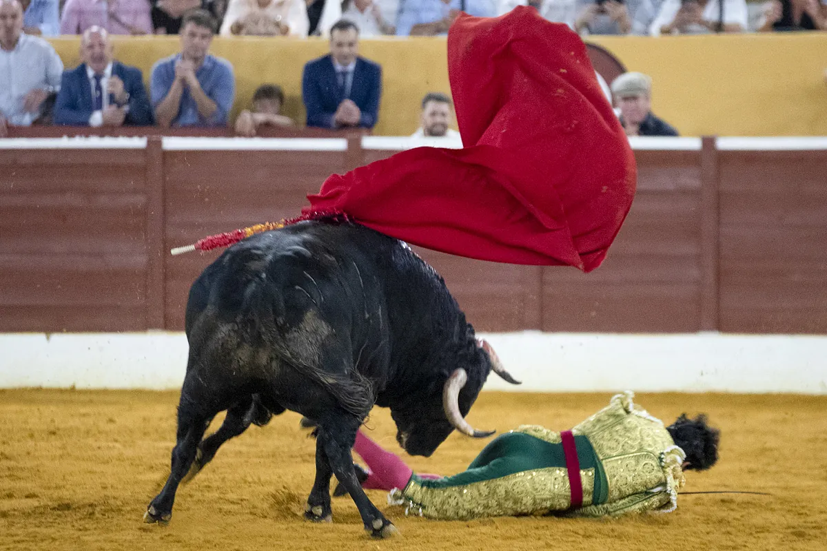 Morante de la Puebla sufre una fuerte cogida y corta un rabo en una noche mágica en Marbella - El Mundo