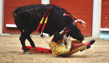 Morante de la Puebla cae herido en Pontevedra con una cornada "extensa" - El Mundo