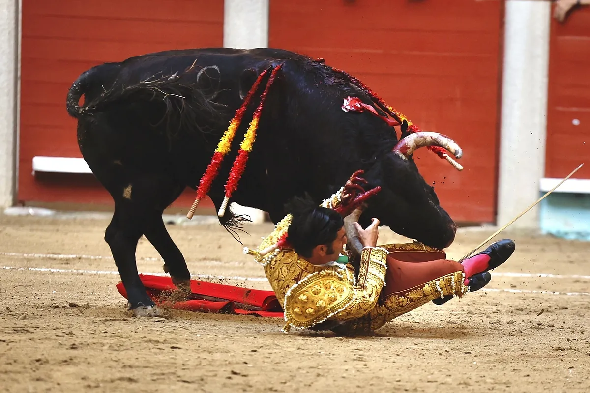 Morante de la Puebla cae herido en Pontevedra con una cornada "extensa" - El Mundo