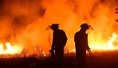 Marlaska anuncia ayuda de la UE tras reclamarla Feijóo mientras el fuego se ceba con Orense, Zamora y León - El Mundo