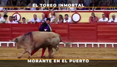 Toros para todos | Morante vuelve a merecer el Orobroy con una faena sublime en El Puerto de Santa María
