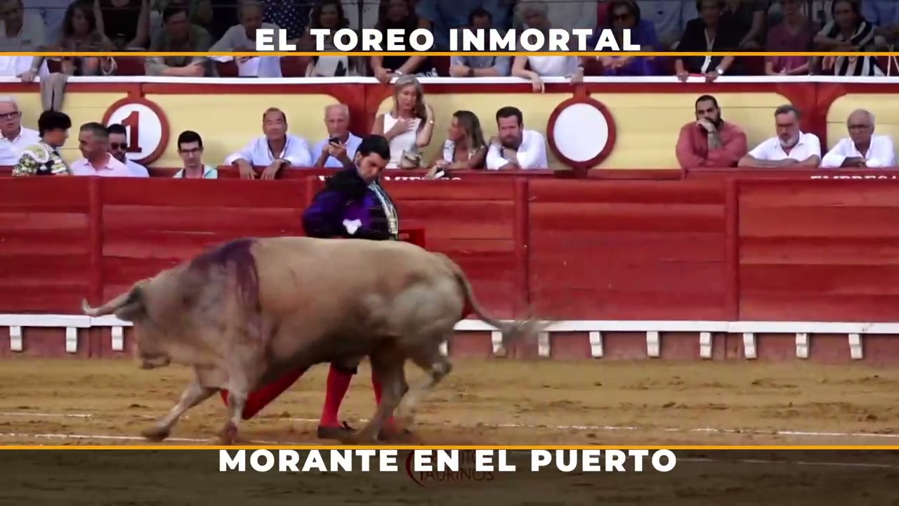 Toros para todos | Morante vuelve a merecer el Orobroy con una faena sublime en El Puerto de Santa María