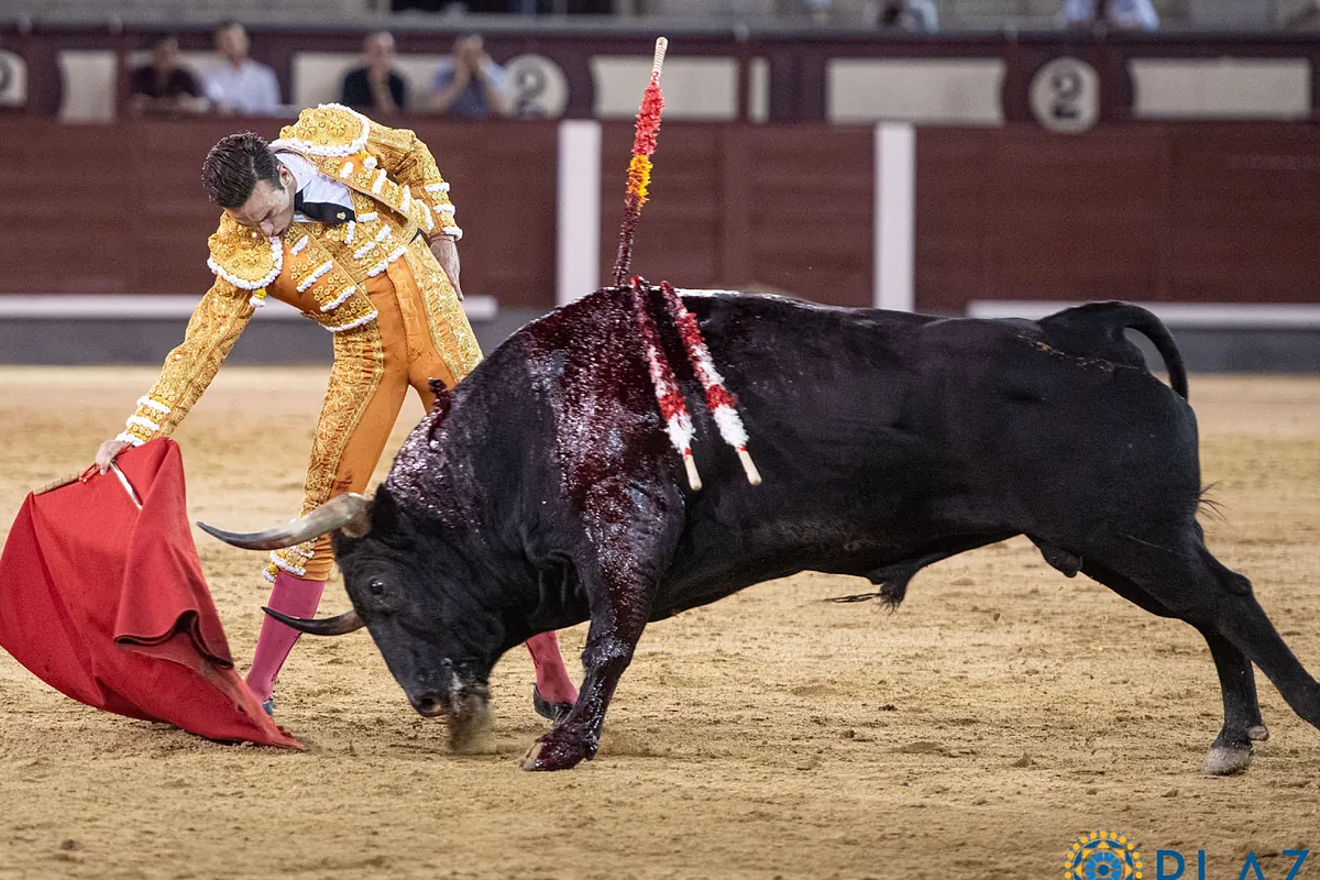 Los toros de El Torero ganan enteros en la noche de La Paloma en Las Ventas: Molina malogra con la espada una faena de triunfo - El Mundo