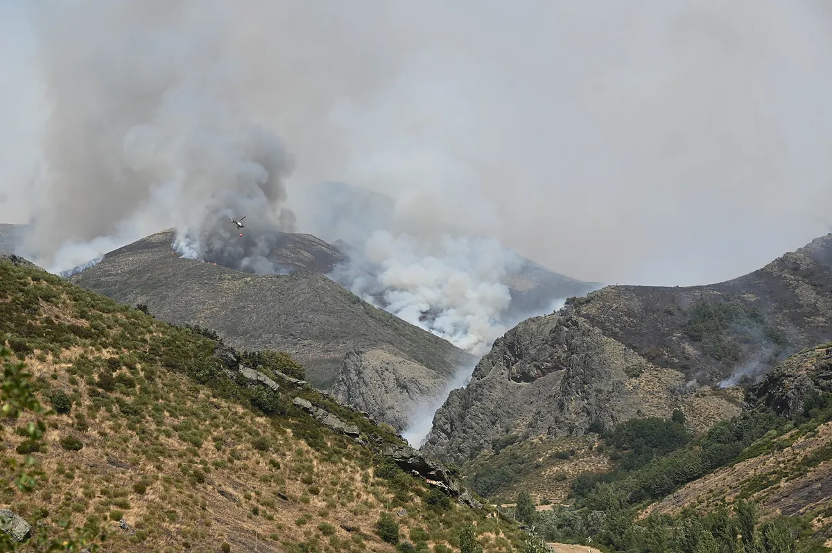 Una lengua de fuego amenaza la vertiente leonesa de los Picos de Europa y alcanza Cantabria: 10 pueblos desalojados - El Mundo