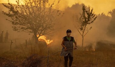 La "agonía" en Ourense, la provincia que más arde: 40 vecinos de Soutelo Verde esperan, pala en mano, a que "el fuego llegue" - El Mundo
