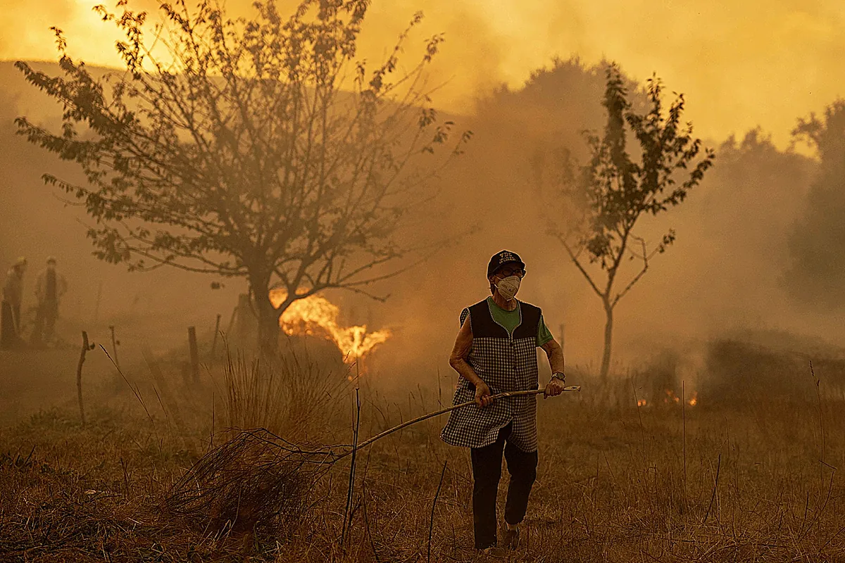 La "agonía" en Ourense, la provincia que más arde: 40 vecinos de Soutelo Verde esperan, pala en mano, a que "el fuego llegue" - El Mundo