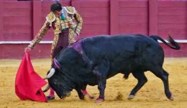 Diego Urdiales y Fortes hilvanan el hilo del toreo a golpe de pureza en Málaga - El Mundo