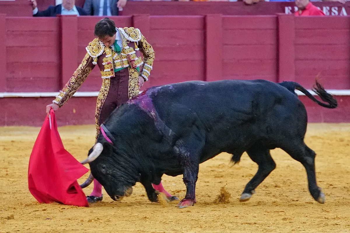 Diego Urdiales y Fortes hilvanan el hilo del toreo a golpe de pureza en Málaga - El Mundo