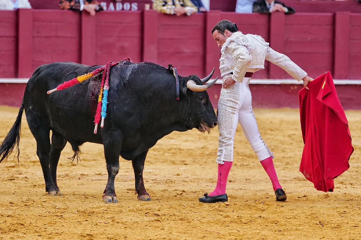 La épica explosión de David de Miranda conmociona Málaga: Roca Rey va desnudo - El Mundo