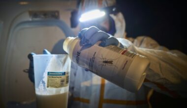 Récord en Europa de brotes de enfermedades transmitidas por mosquitos