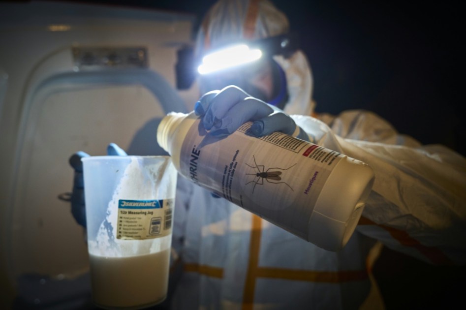 Récord en Europa de brotes de enfermedades transmitidas por mosquitos