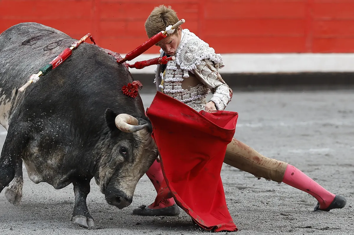 Tapaboca, un toro de gran clase de La Quinta, logra un indulto histórico en Bilbao - El Mundo