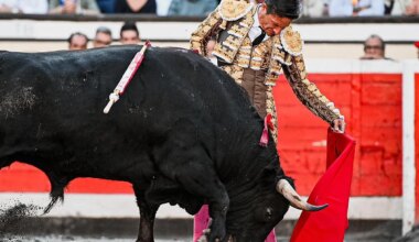 Diego Urdiales levanta en Bilbao una faena antológica como revancha - El Mundo