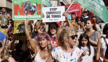 PACMA protesta contra la tauromaquia en una Vista Alegre con asistencia muy desigual | Euskal Herria