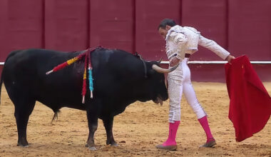 Toros para todos | Orobroy para David de Miranda con una faena que superó todos los límites