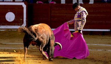 Corrida mixta desde Almería, como broche final a su feria taurina