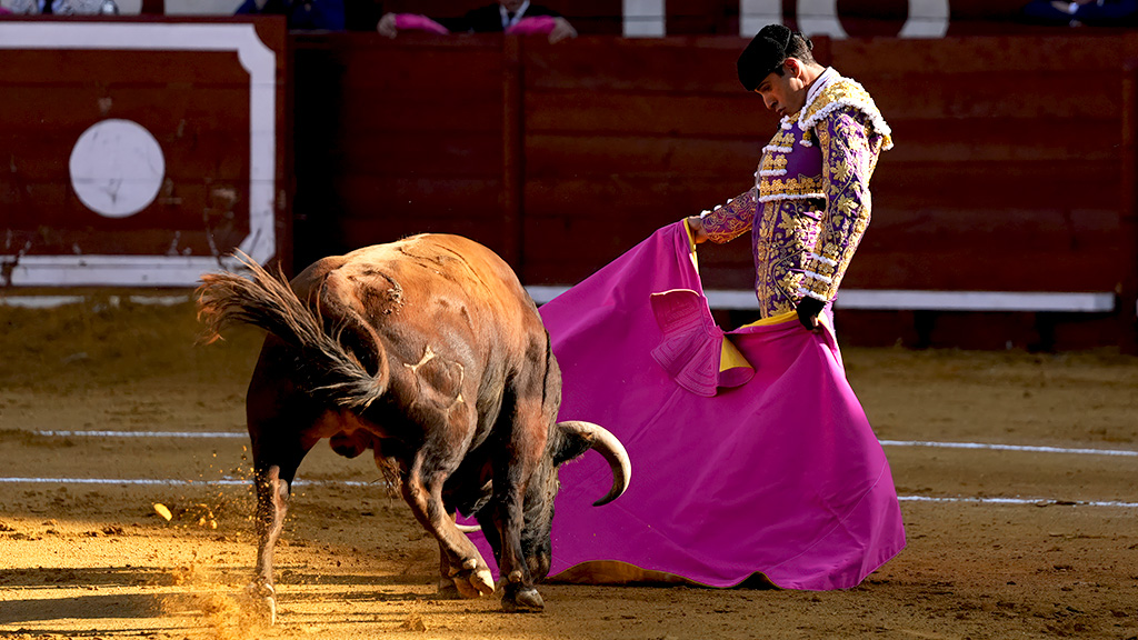 Corrida mixta desde Almería, como broche final a su feria taurina