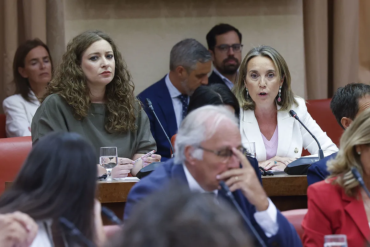 El Gobierno cede ante sus socios para salvar una ajustada votación en el Congreso: Marlaska y Aagesen darán explicaciones la próxima semana por los incendios - El Mundo