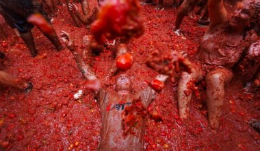 Tomatina 2025: a qué hora es y dónde ver hoy en directo la fiesta de Buñol - El Mundo