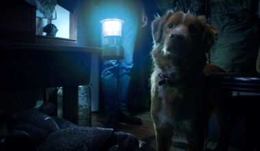Good Boy: ¿de qué trata la película de terror que está causando conmoción en redes?; conoce su fecha de estreno en México