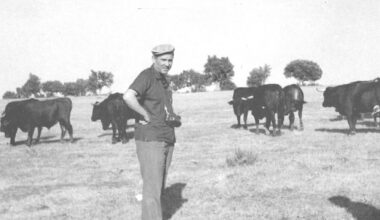 Rafael, en una ganadería del Campo de Salamanca.