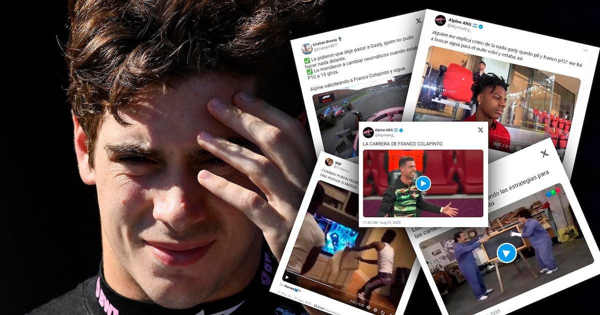 Estallaron los memes del GP de los Países Bajos contra Alpine por la estrategia que perjudicó a Colapinto en la F1