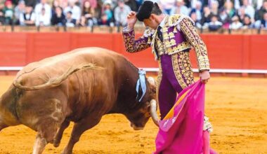 Un festejo memorable en Baeza