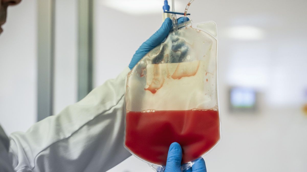 El riesgo de cáncer secundario por recibir terapias CAR-T es bajo, según un amplio estudio