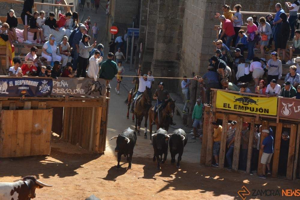 encierros, novilladas y mucha tradición