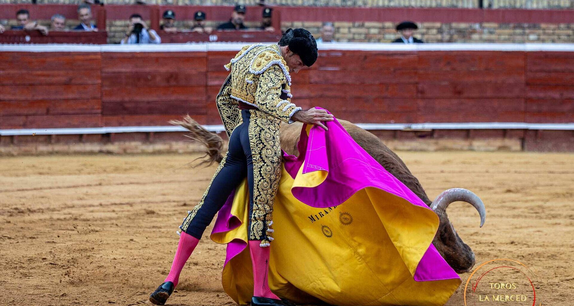 Toros de Torrealta para una tarde de máxima expectación en La Merced