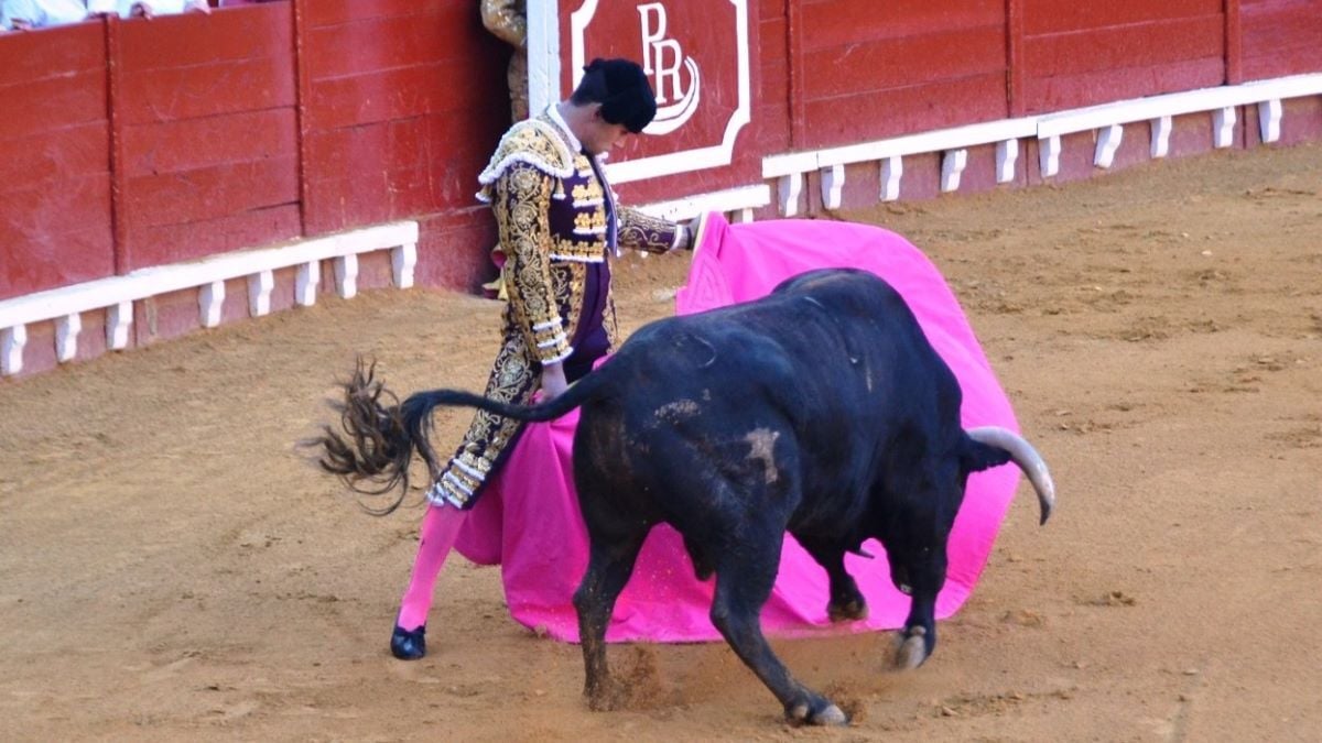 Víctor Barroso I Breña