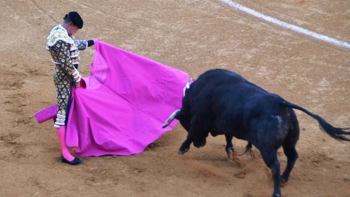 Manzanares I Breña