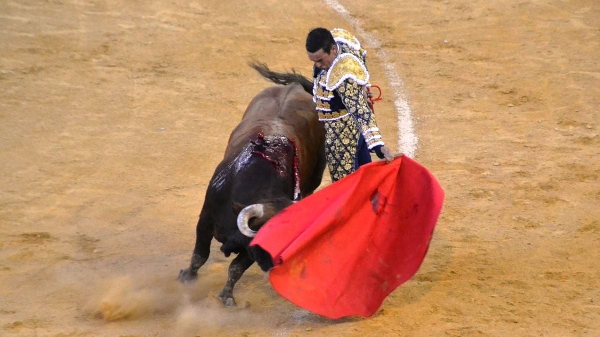 Manzanares I Breña