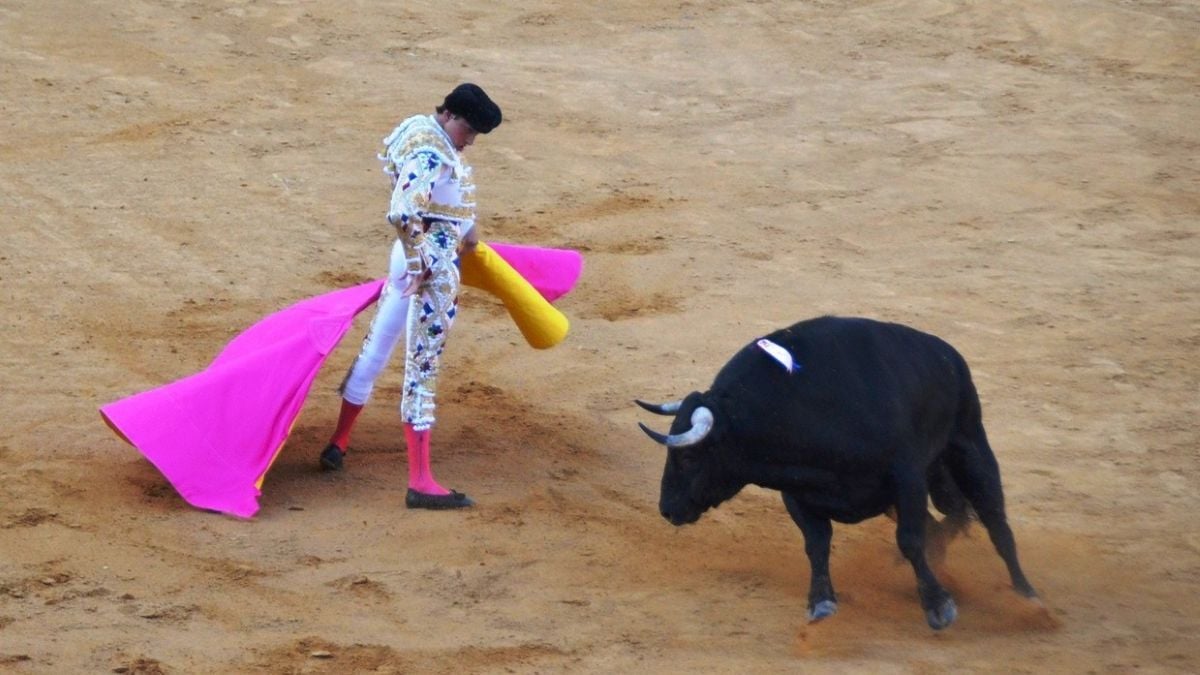 Roca Rey I Breña