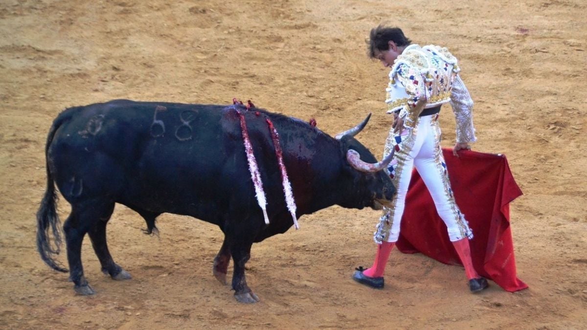 Roca Rey I Breña