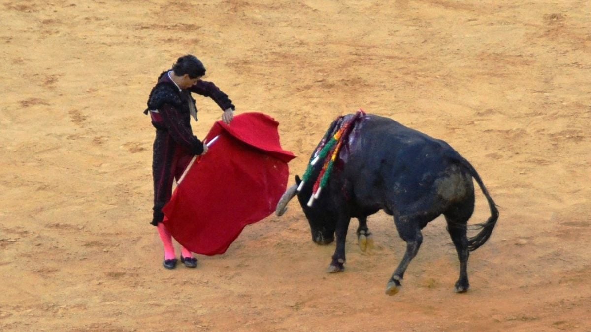 Aguado I Breña