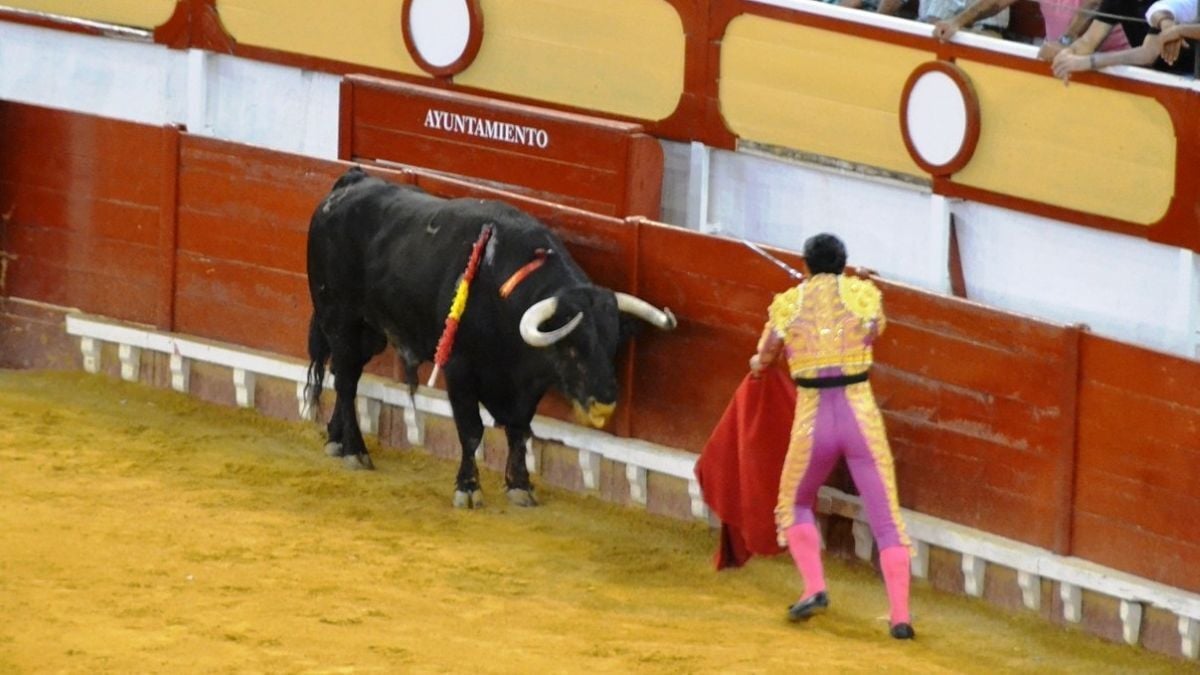 Al hilo I Breña