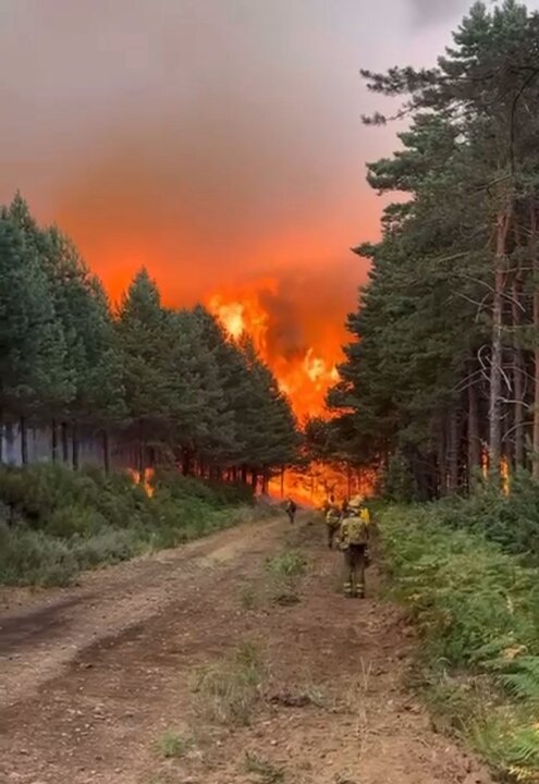 El incendio de Porto eleva su nivel de riesgo a IGR2