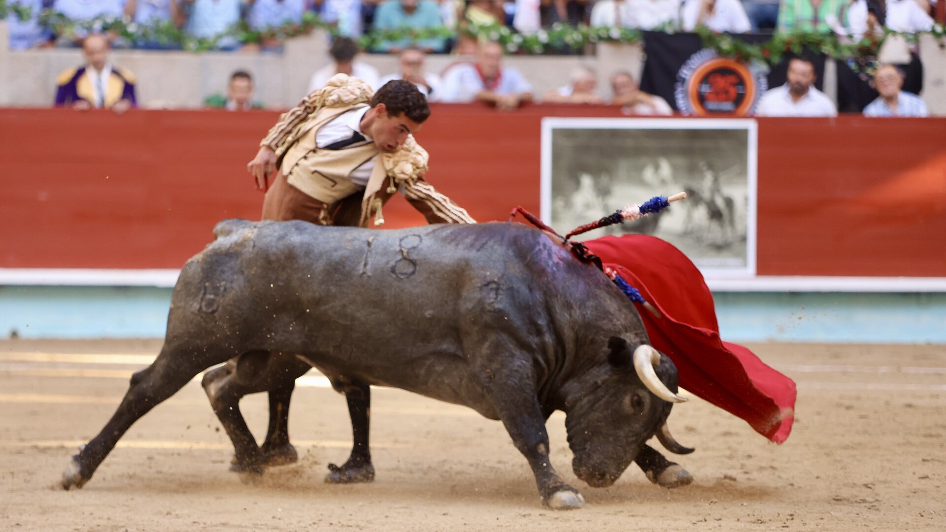Fernando Adrián, durante la faena a Heráldico, el toro indultado en Pontevedra.RAFA FARIÑA
