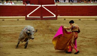 El entretenido duelo de los hermanos Castaño en las fiestas de Tafalla ante unos buenos toros de Sobral