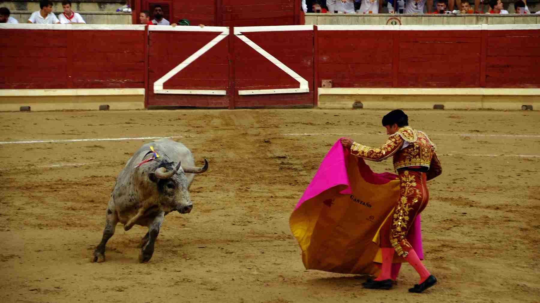 El entretenido duelo de los hermanos Castaño en las fiestas de Tafalla ante unos buenos toros de Sobral