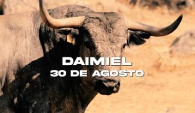 Adolfo Martín y el encaste albaserrada protagonizan la feria taurina de Daimiel 2025
