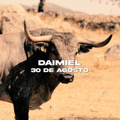 Adolfo Martín y el encaste albaserrada protagonizan la feria taurina de Daimiel 2025