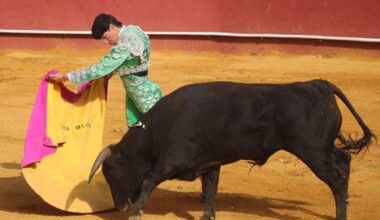 Isaac Galvín, clasificado para la gran semifinal del Ciclo de Novilladas sin picadores