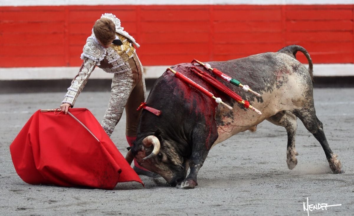 Tapaboca I Méndez Cultoro