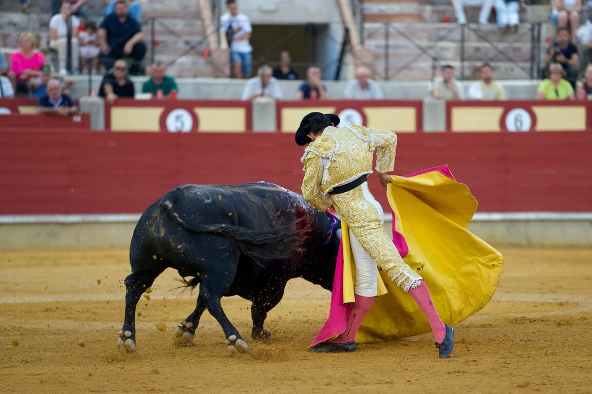 bcc872a3-4593-9953-1815-d089c90e8441