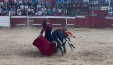 Hugo Reinosa corta una oreja en Atienza y destaca con la Escuela Taurina de Alcázar