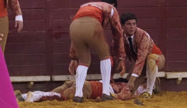 Conmoción por la muerte de forcado Manuel Trindade, tras ser embestido por el toro durante una corrida