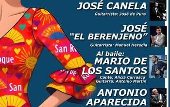 Mañana, sábado, XXI Noche Flamenca de Puente Mayorga
