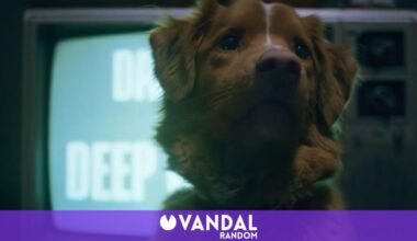 'Good Boy', el terror visto por un perro al estilo 'Agallas, el perro cobarde', revela sus primeras imágenes - Vandal